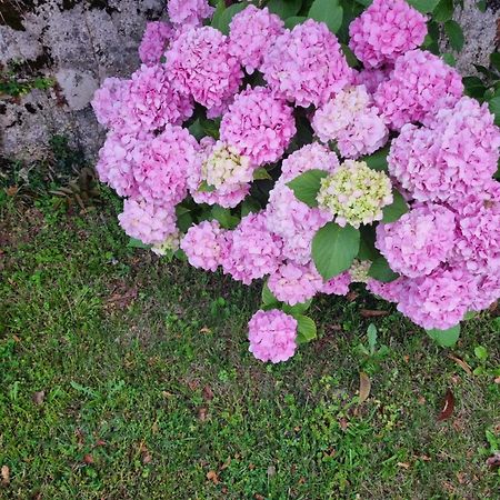 Da Artu' Villa Udine Dış mekan fotoğraf